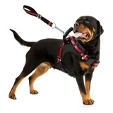 Guia Para Cães Coleira Peitoral Com Alça Reforçado Pit Bull Cor Preto Com Vermelho Tamanho Da Coleira P