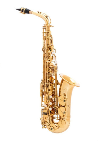 Saxofone Alto Halk Mib Dourado (novo) Com Garantia 