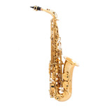 Saxofone Alto Halk Mib Dourado (novo) Com Garantia 