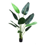 Planta Artificial Tamaño Real 160cm Banano Tropical Palmera