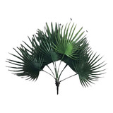 Kit 6 Planta Artificial Palmeira Leque Buquê Grande Verde