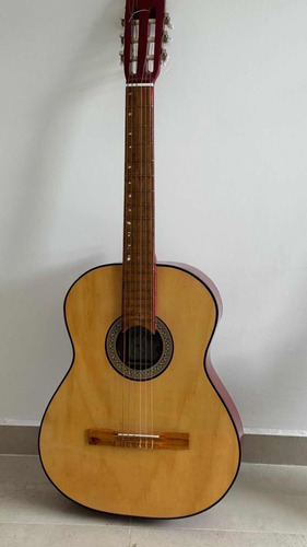 Guitarra Criolla Con Funda