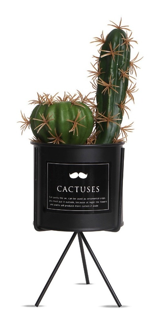 Cactus con maceta Negra y pie C