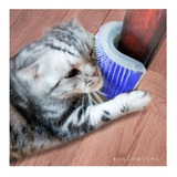 Cepillo Rascador Esquinero Para Gatos + Obsequi