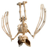 Esqueleto Murciélago Decoración Halloween