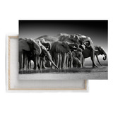 Cuadro Canva Decorativo Familia De Elefantes 70x140 Cm