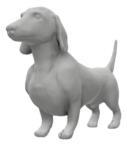 Maniquí Modelo Perro Salchicha Largo 40cm P/ Pintar Ayrax