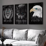 Quadros Decorativos Disciplina Execução Foco Leão C/ Moldura