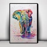 Cuadro Decorativo Animal Elefante C4560