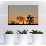 Vinilo Decorativo 60x90cm Sabana Africa Paisaje Atardecer M1