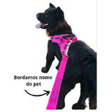 Peitoral Pet Colete Com Nome Personalizado Envio Imediato