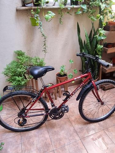  Bicicleta Raleigh M20 M,rodado 26,asiento Triplex