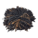 Aplique Coque Afro Puff Fibra Sintética P10