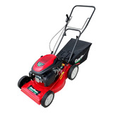  Cortador De Grama A Gasolina 6hp 4t Garthen Com Recolhedor