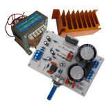 Modulo Amplificador Subwoofer 100 Watts C/trafo Y Disipador
