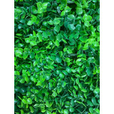 Planta Artificial Follaje Falsa  Pared Paneles 4060-9 X10uni