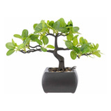 Arbol Bonsai Artificial Hoja Boj