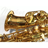 Saxo Alto Estuche Cuero Accesorios Lincoln Winds