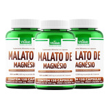 Kit 3 Malato De Magnésio Vitalab Suplemento Com 120 Cápsulas