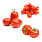 Semillas De Tomate Cherry Perita Redondo Huerta Cultivo