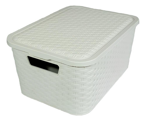 Set X4 Canasto Organizador Simil Rattan Chico Colores Pastel