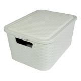 Set X4 Canasto Organizador Simil Rattan Chico Colores Pastel