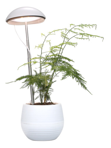 Lâmpada Led Para Plantas Em Vasos De Espectro Completo, Cicl