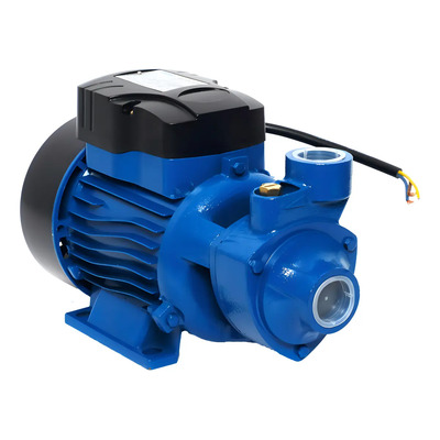 Igoto Qb70 Bomba Periférica 3/4hp 55lm Succ Agua De Red Públ Color Azul Fase Eléctrica Monofásica