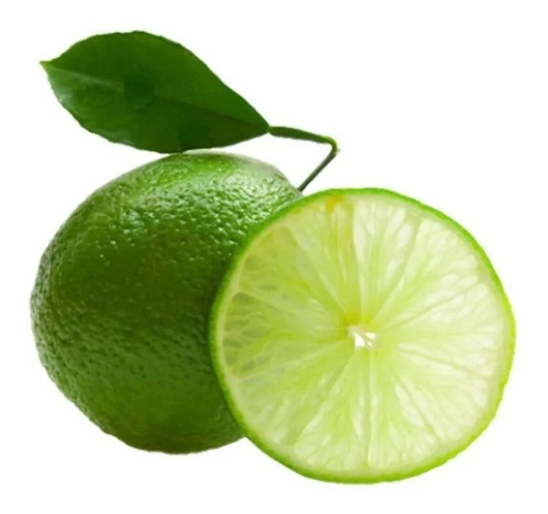 1 Arbolito De Limon Persa - Siembra Limones, 100% Orgánicos 