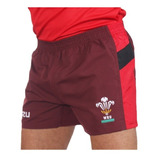 Short De Rugby Imago  All Blacks Pluma