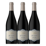 Vino Losance Pinot Noir Piu 750ml Alejandro Vigil Pack X3 