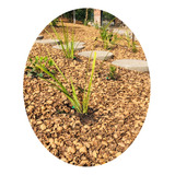 Saco Mulch Cascara Cascarilla De Nueces Nuez Para Jardines