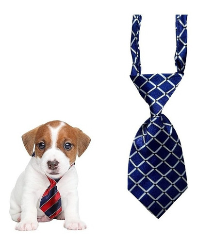 Collar Corbata Tipo Corbatin Gato Perro Raza Pequeña Mascota