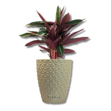 Vaso Plantar Plantas Polietileno Jardim Varanda Diamante N3