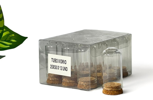 Botella De Vidrio 25x50 Caja X12 | Decorativa | Tubo Vidrio