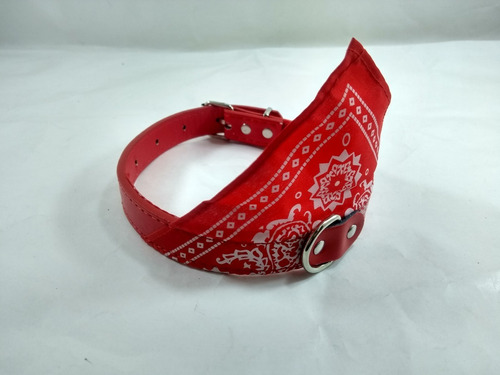 Collar Con Pañuelo Para Mascotas. 3.0cm, Perros Gatos