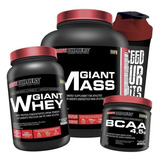 Combo Giant Mass 3kg + Whey 900g + Bcaa Powder + Coqueteleir