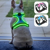 Arnés De Seguridad Led Para Perros  Chaleco Iluminado Para 