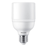 Ampolleta Philips Hv E27 20w Luz Fría