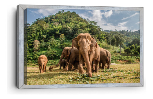 Cuadro Canvas Marco Inglés Elefantes En Familia 80x120cm