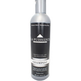 Shampoo La Puissance Matizador Black Platinum 300ml