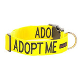 Dexil Limited Adoptar Me Color Amarillo Coded S M L Xl Hebil