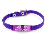 Chapita Gato Pasador Violeta+ Collar 1 Cm Reforzado Violeta