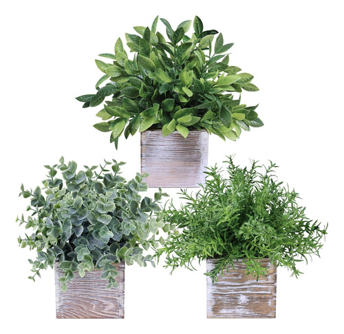 Conjunto De 3 Plantas Pequeñas Variadas Plantadas Fals...