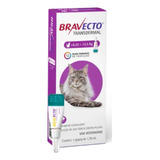 Bravecto Transdermal Para Gatos De 6,25 A 12,5kg Antipulgas 