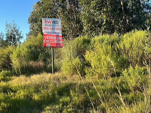 Venta De Terreno En Atlántida - Imagen 3