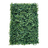 Kit 32 Placa De Buchinho 40x60 Jardim Vertical Artificial 