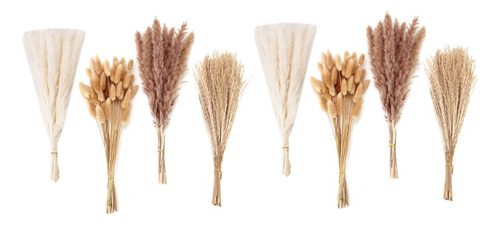 Reed Decoration, 200 Unidades, Decoración De Hierba De Pampa