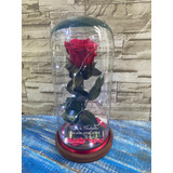 Rosa Eterna 30 Cm Con Luz Y Placa Personalizada