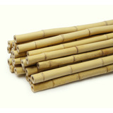 50 Varas De Bambú Natural Jardin Cerca 110 Cm / 2-3cm Grosor